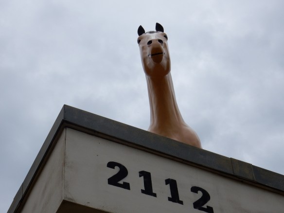 The horse atop the Western Horseman in Fort Worth, Texas