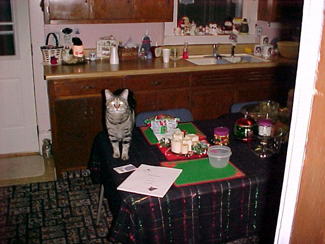 Photo copyright Scott L Vannater