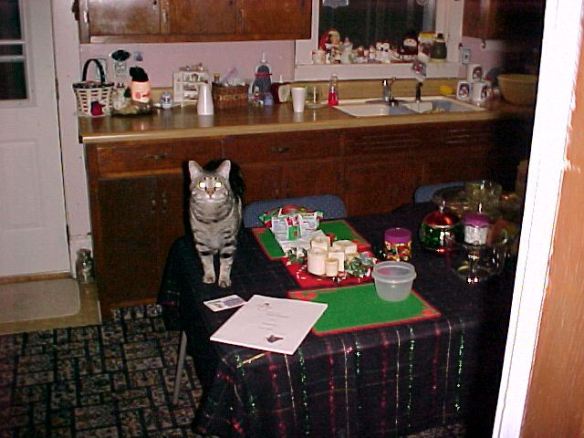 Photo copyright Scott L Vannater