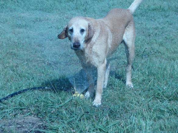 Clint playing with the water sprinkler