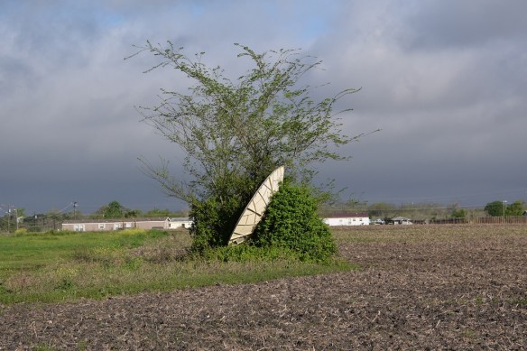 Satellite Dish in Uhland (3)s