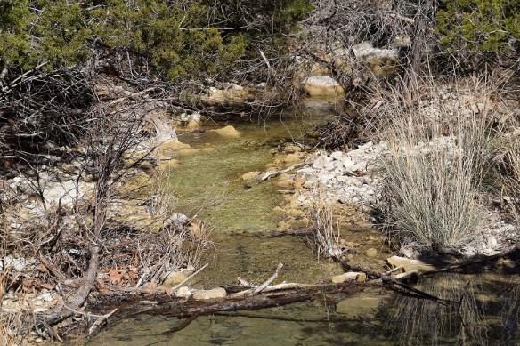 aa Commons Ford (82)s