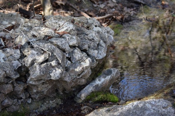 aa Commons Ford (85)s