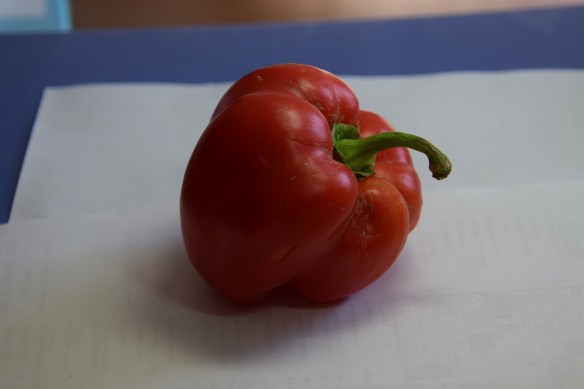 aa Lesson 3 Continuous Line Drawing (1a)s