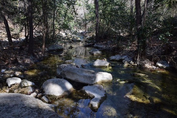 aa River Place Trail (108)s