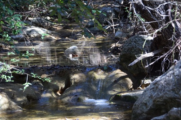 aa River Place Trail (167)s