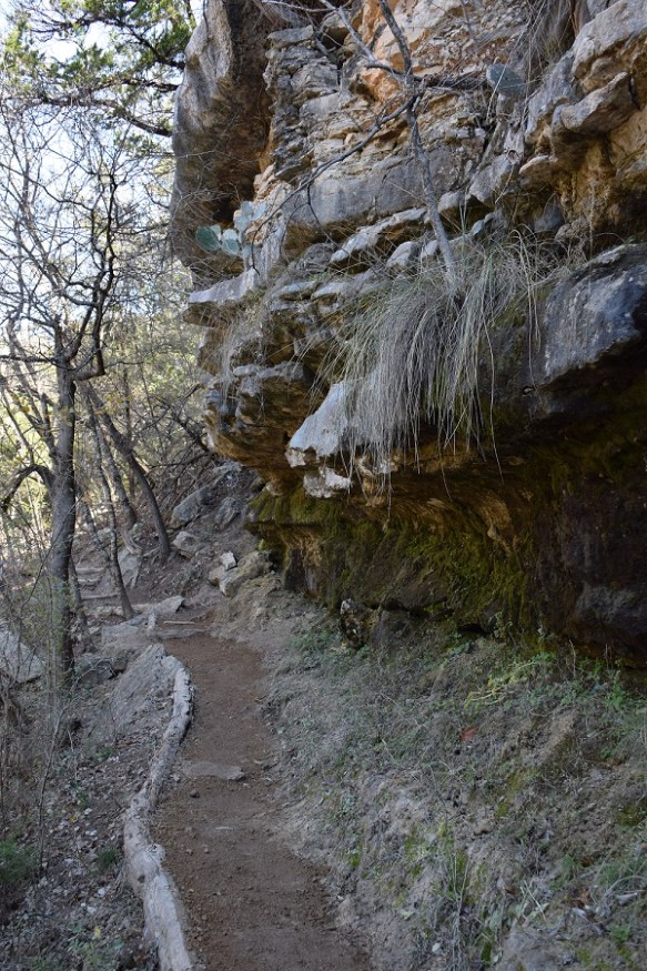 aa River Place Trail (175)s