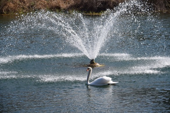 aa River Place Trail (52)s