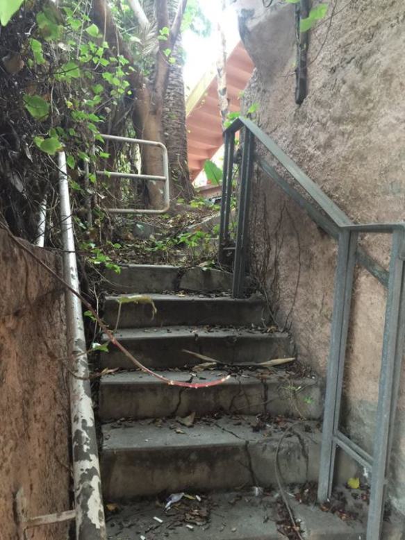 Photo copyright Amy Reese