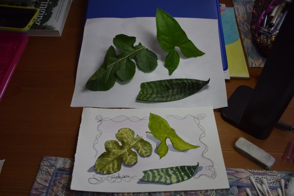 Lesson 2 Greens 3c1s