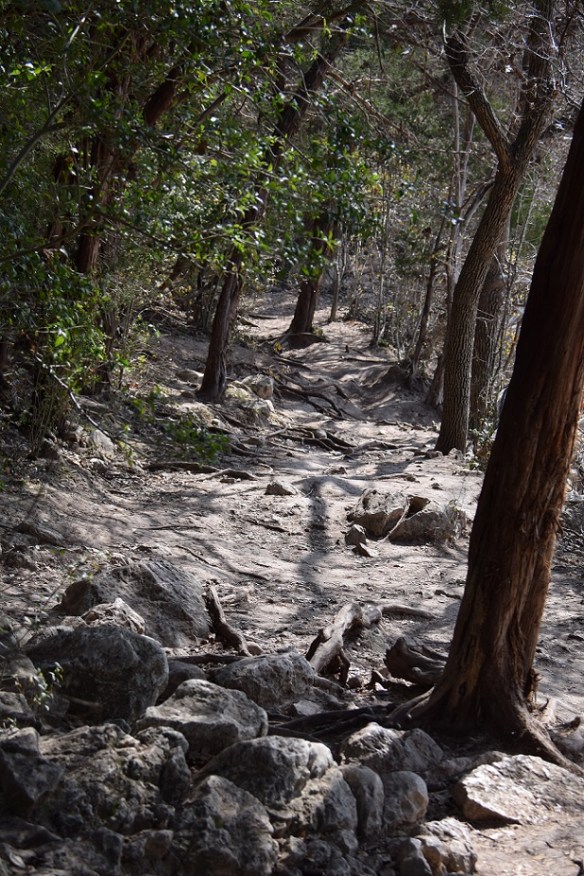 aa Barton Creek Greenbelt 2016 Feb (140)s