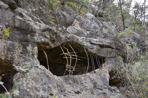 aa Barton Creek Greenbelt 2016 Feb (50)s
