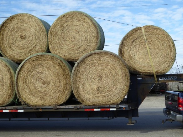 aa Hay Transport (1)s