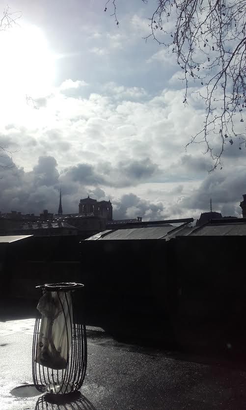 Photo copyright Emmy L Gant