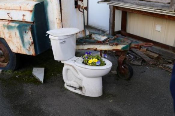 Photo copyright Ted Strutz