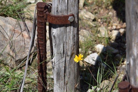 29 No Reason Not To s