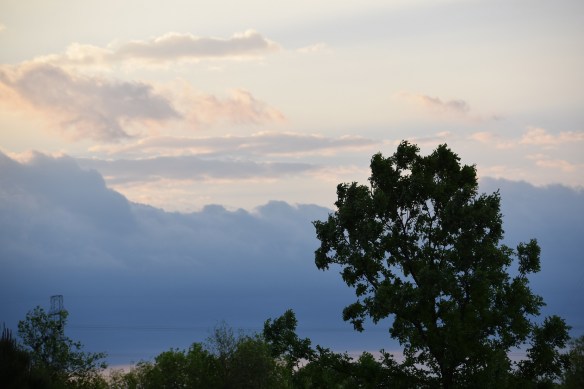 a A Day Like Today s