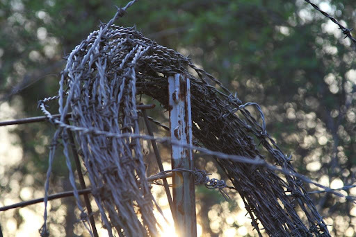 Photo copyright Madison Woods