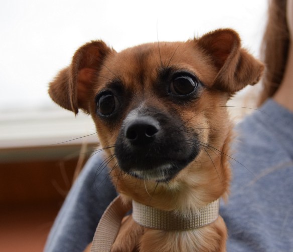 18 The Whole Story s