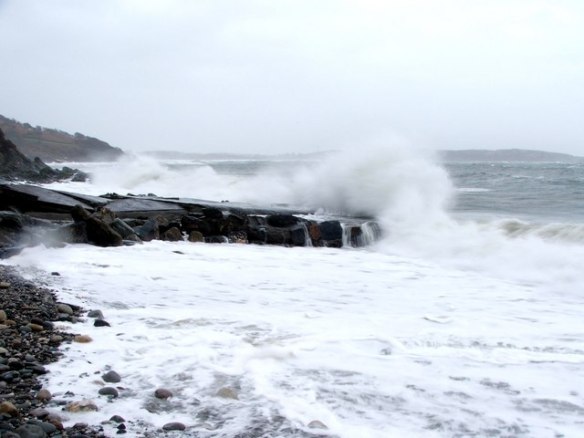 Photo by Steve Partridge via Creative Commons