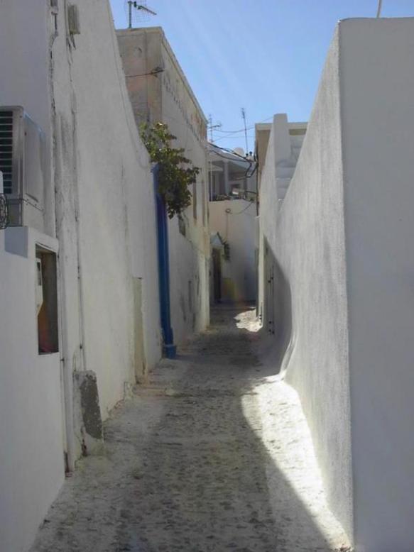 Photo copyright Jan Marler Morrill