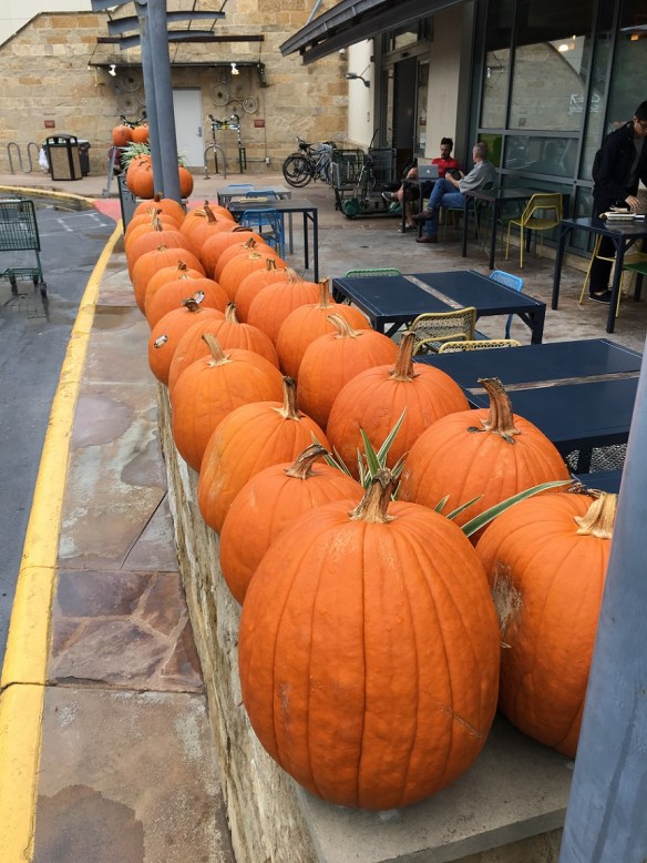 a-pumpkins-in-a-row-s
