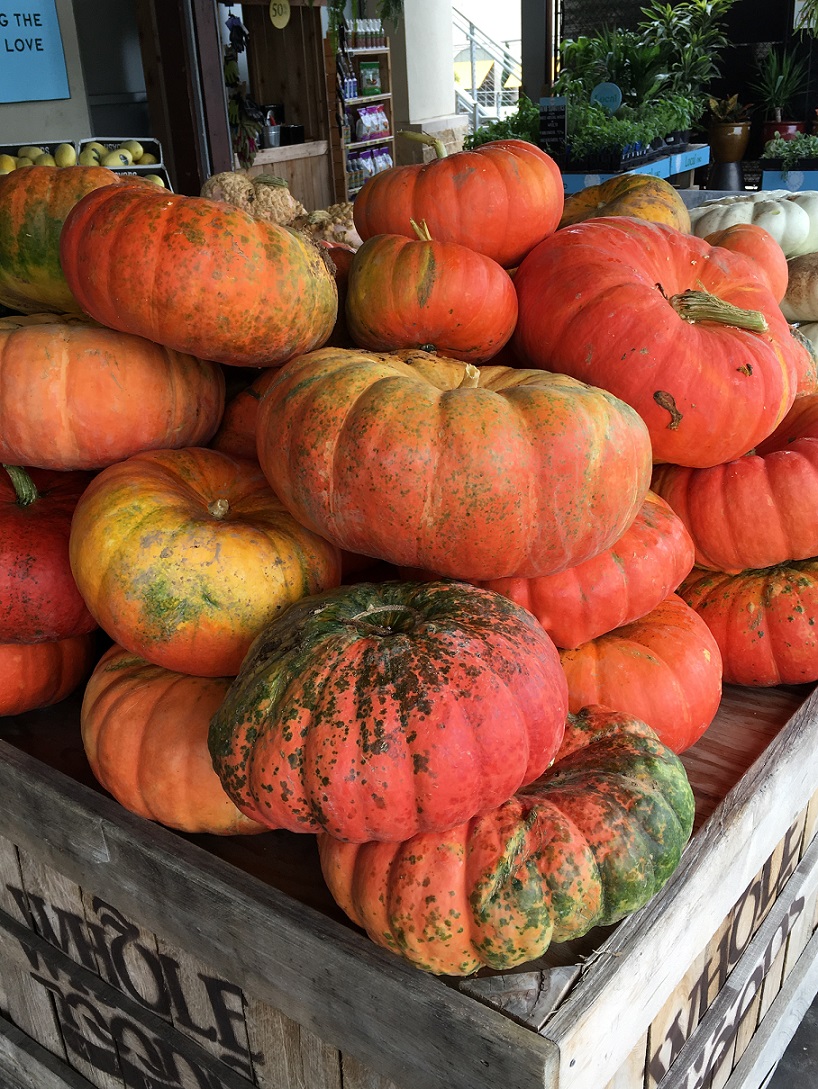 Pumpkins at Whole Foods Market Lamar (2)s