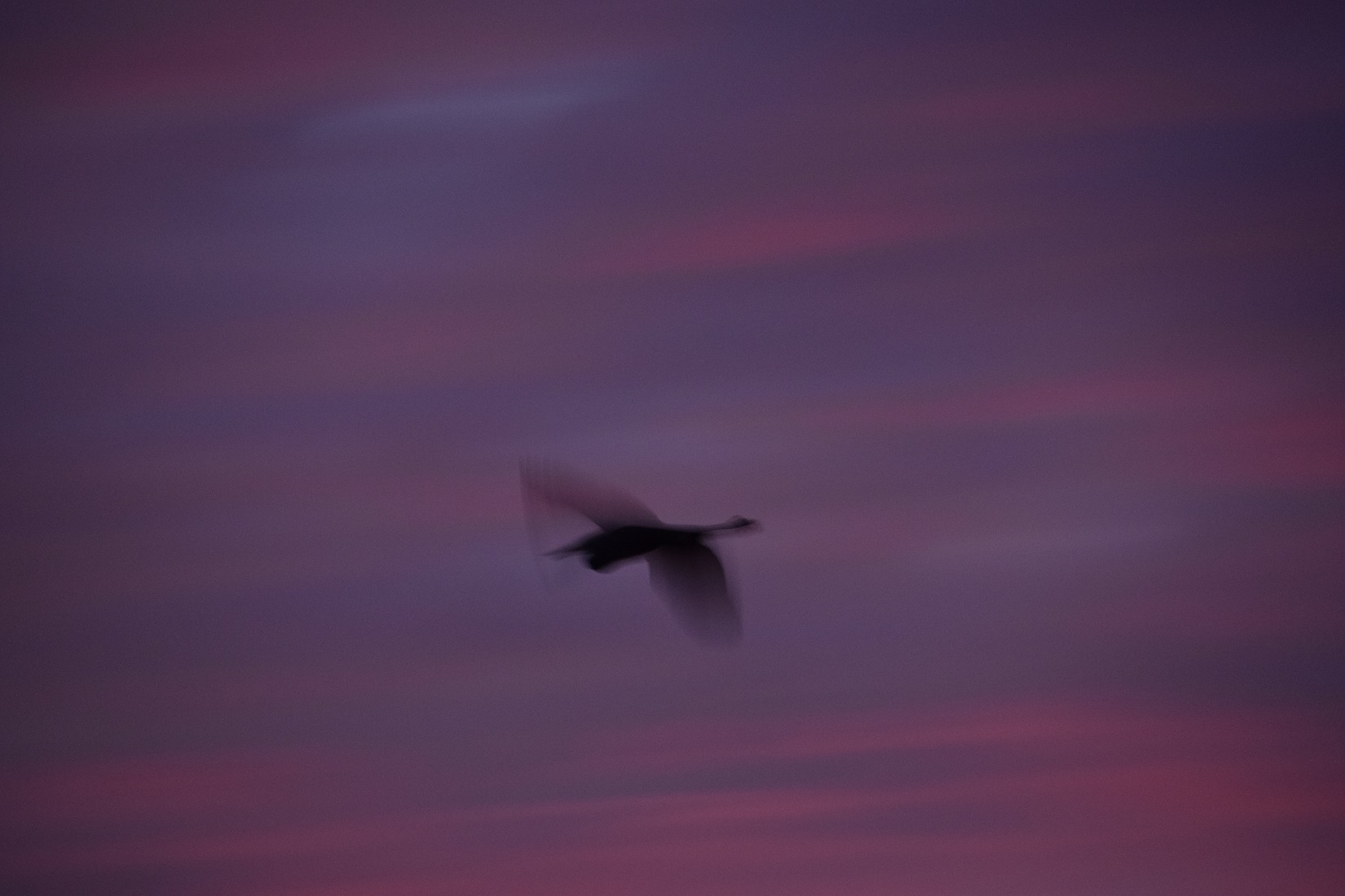 a-sunrise-2016-10-23-3s