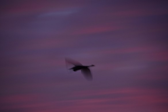 a-sunrise-2016-10-23-3s