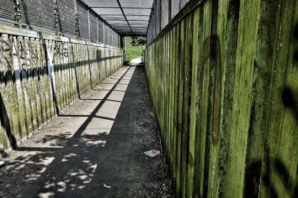 Photo copyright Peter Abbey