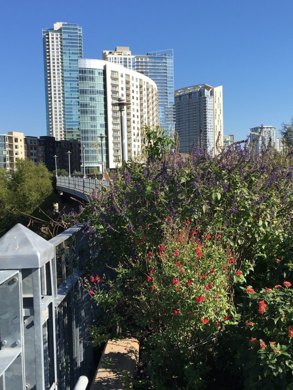 a-view-from-pedestrian-bridge-s