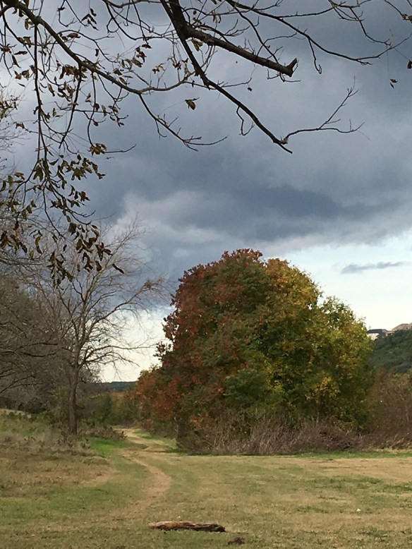 At Commons Ford Ranch Metropolitan Park