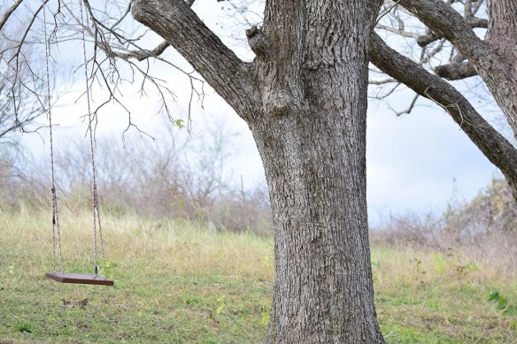 At Commons Ford Ranch Metropolitan Park