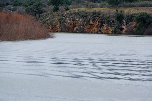 Ripples behind the boat