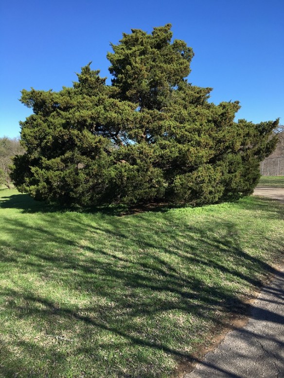 At McKinney Falls State Park