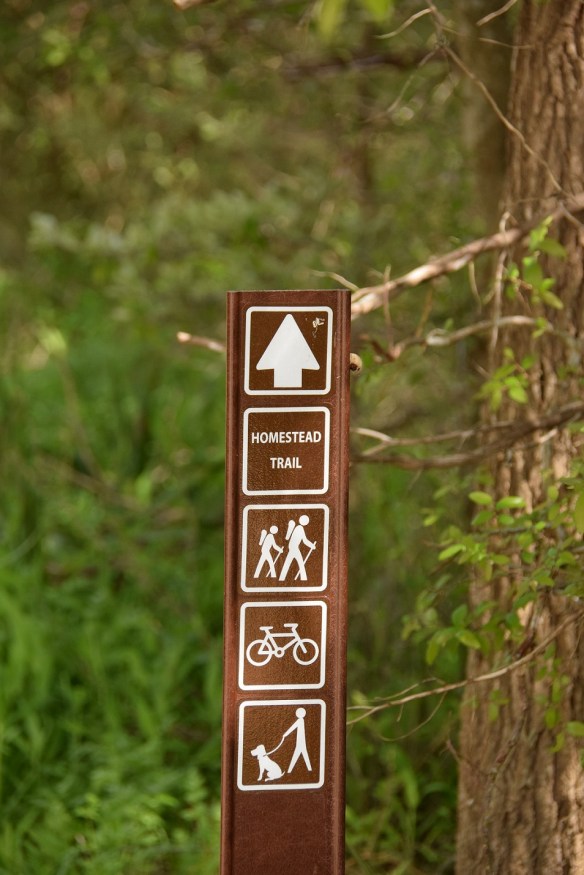 a-mckinney-falls-067-s