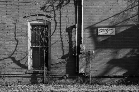 TreshaBarger-BlackAndWhite-wk07