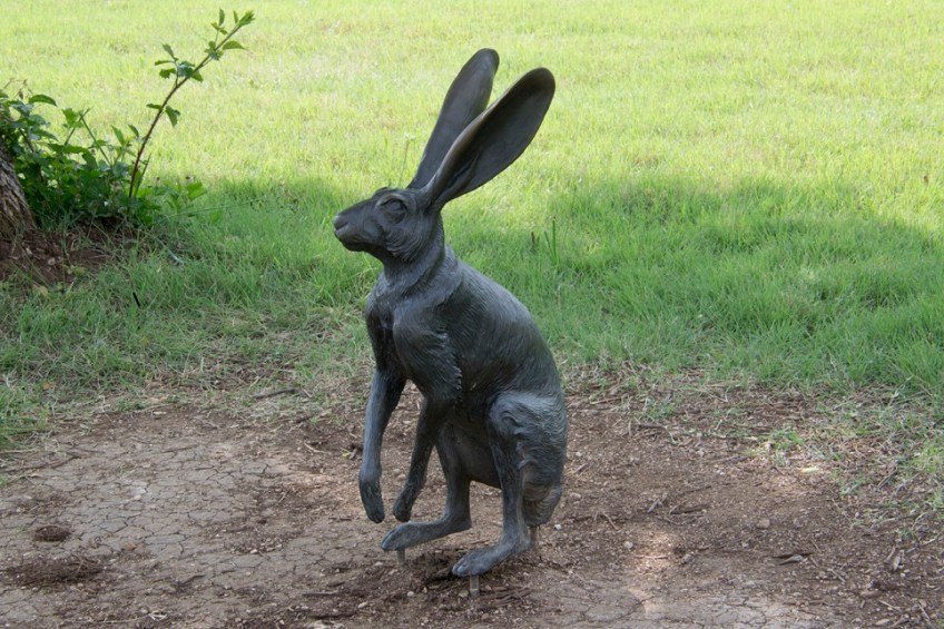 At the Lady Bird Johnson Wildflower Center