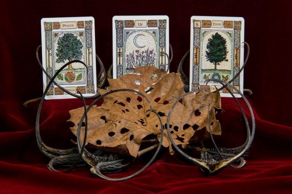 TreshaBarger-BoardGame-wk10