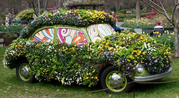 VW Bug and flowers