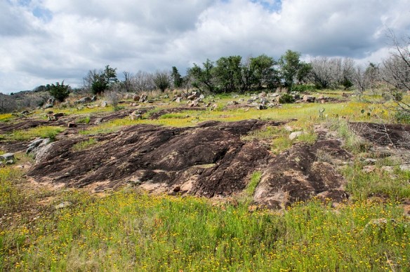 Inks Lake along the trail