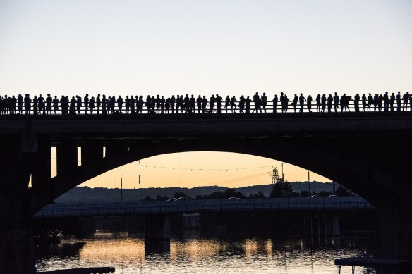 Waiting for the bats (6)