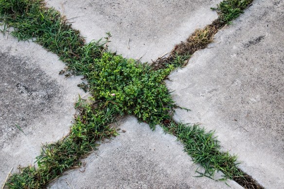 TreshaBarger-StuckInPlace-3