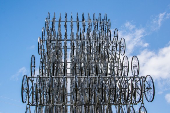 Forever Bicycles (5)