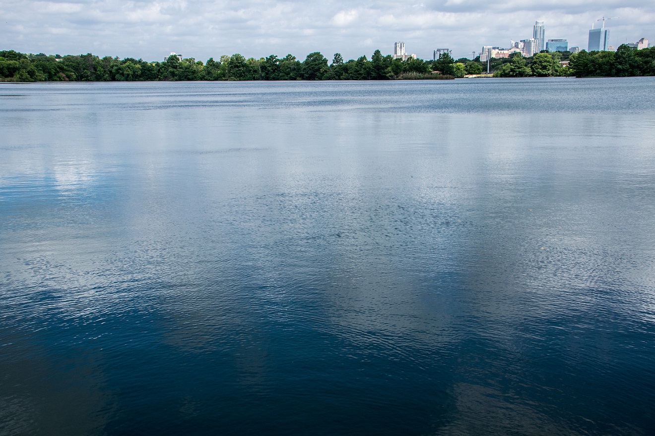 TreshaBarger-Elements-wk24