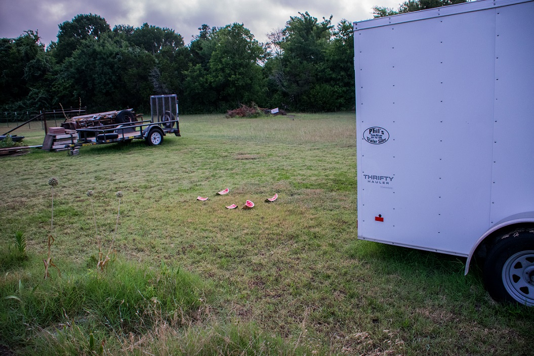 Watermelon for dessert