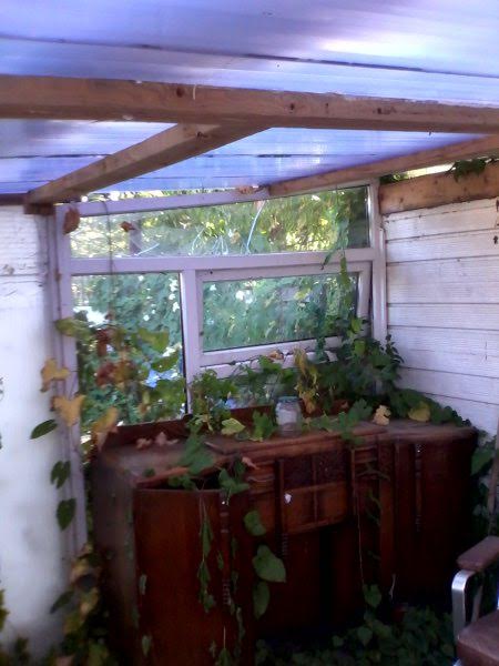 Photo copyright Sarah Potter