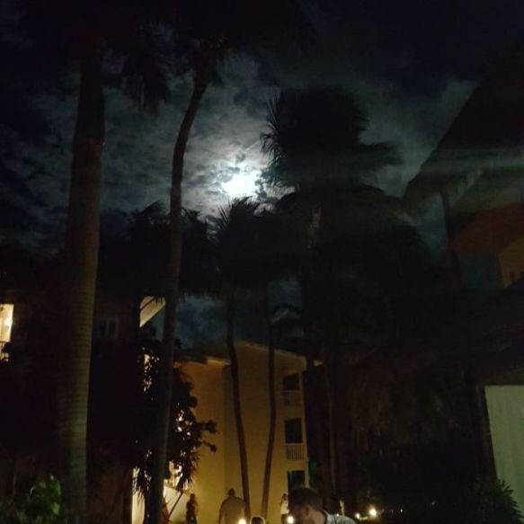 FF 149 Dale Rogerson