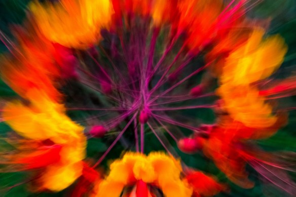 TreshaBarger-DoOver2-ShutterZoom-wk25