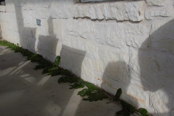 Where are they going?